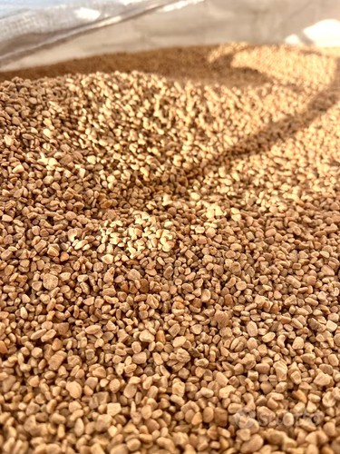 Nocciolino sansa vergine - nocciolino,