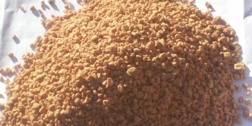 Nocciolino olive sansa - nocciolino,